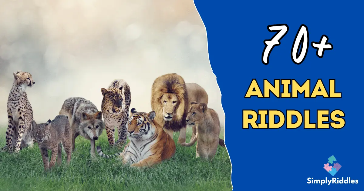 70+ Animal Riddles for Kids and Adults Who Love Animals