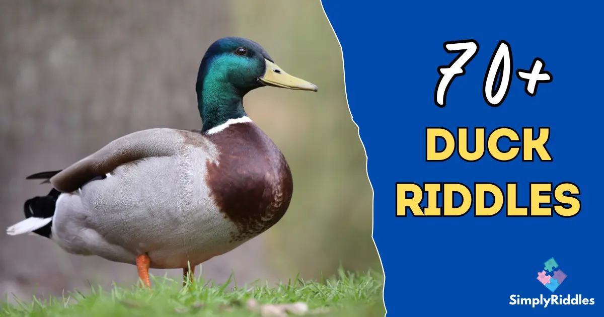 70+ Duck Riddles That Will Have You Quacking with Laughter