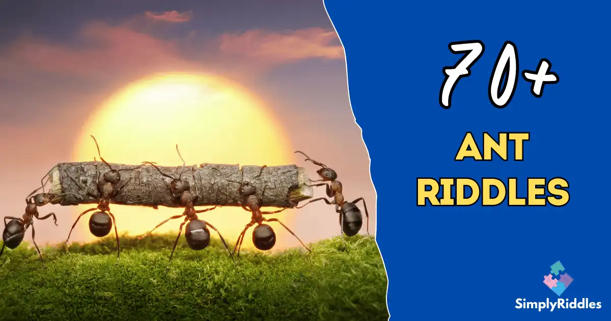70+ Ant Riddles That Will Keep You Crawling with Curiosity