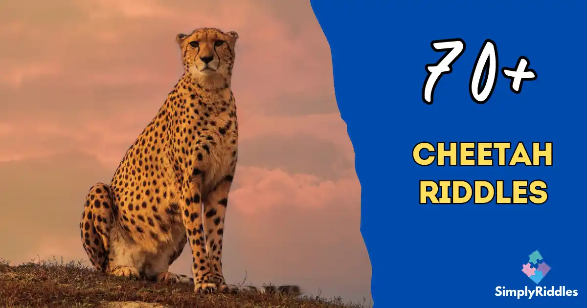 70+ Cheetah Riddles That'll Sprint through Your Brain