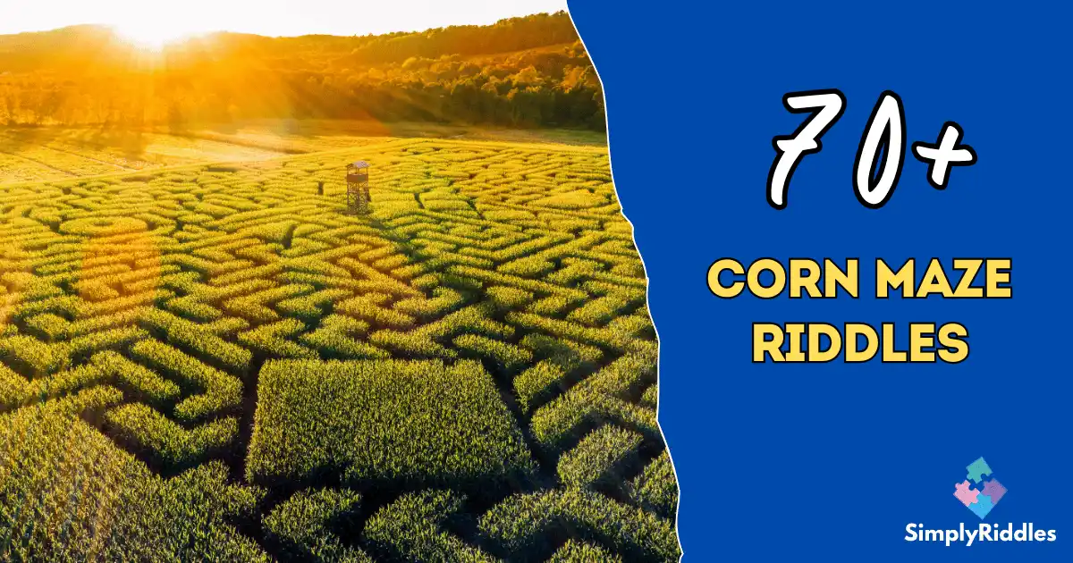 70+ Corn Maze Riddles That’ll Make You Think While You Wander!