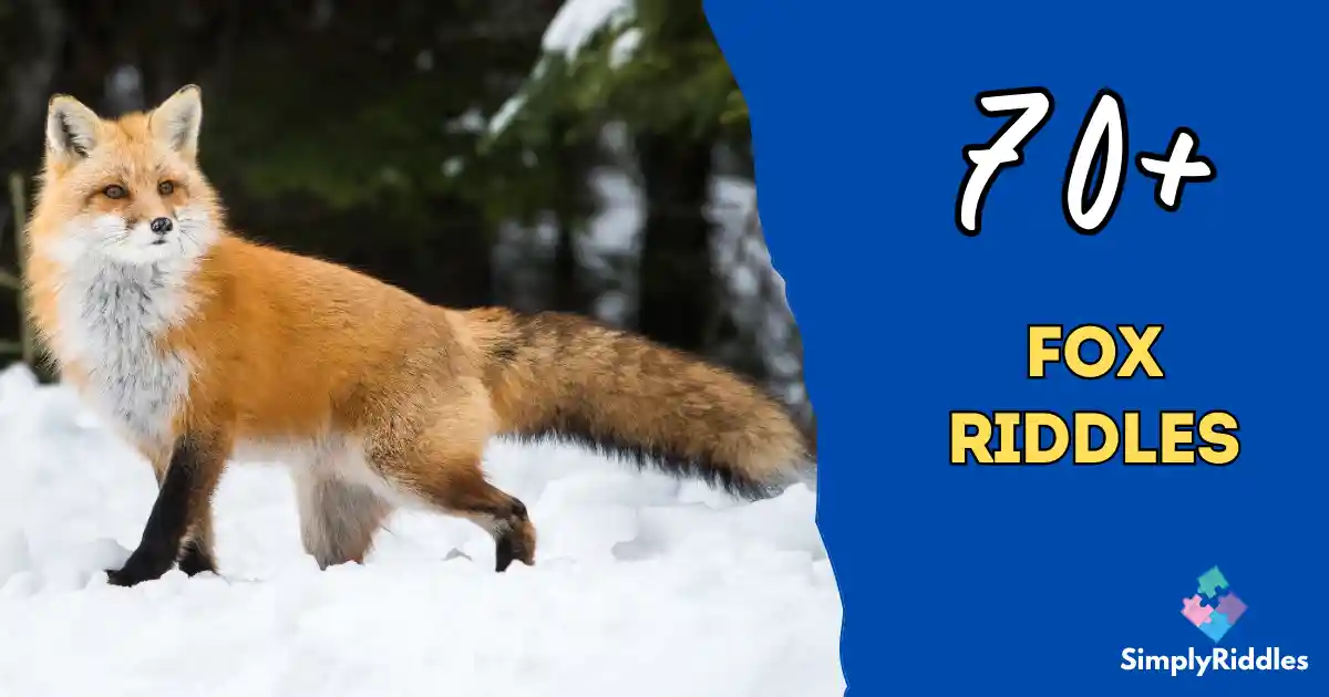70+ Fox Riddles That Will Outsmart Your Friends Epic Fun