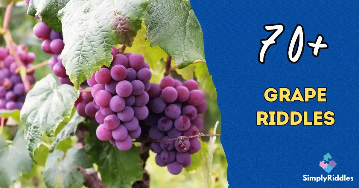 70+ Grape Riddles That’ll Vine Their Way into Your Heart