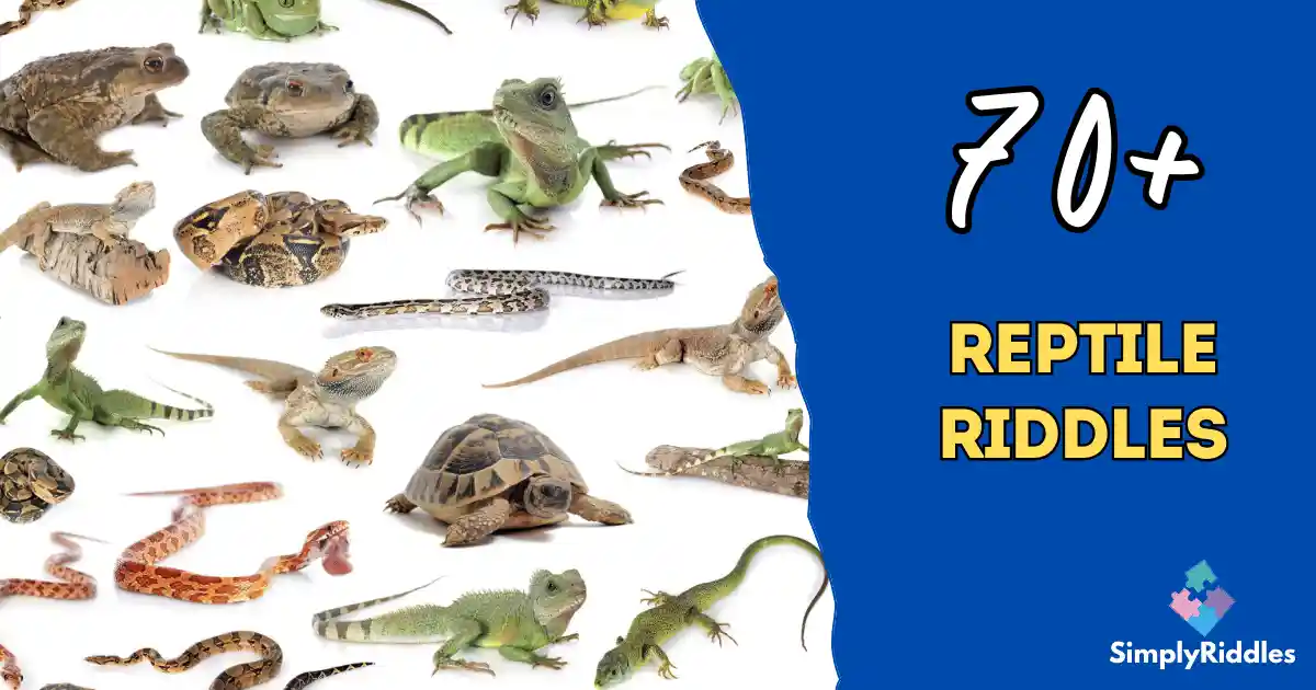 70+ Reptile Riddles That Will Make You Hiss with Laughter