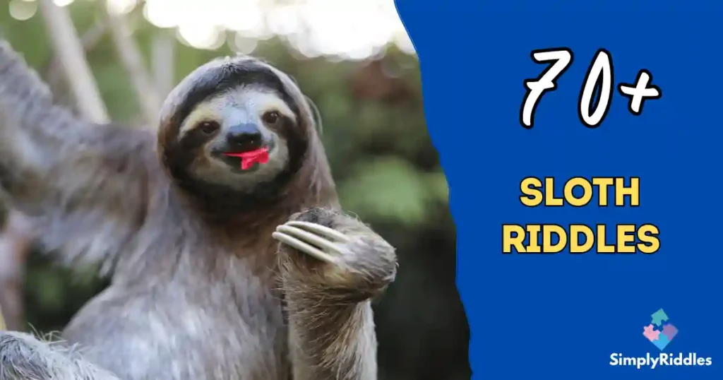70+ Sloth Riddles That’ll Make You Smile Slowly
